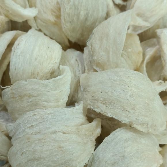 

1 Buah Arang Burung Walet Mango Ualita