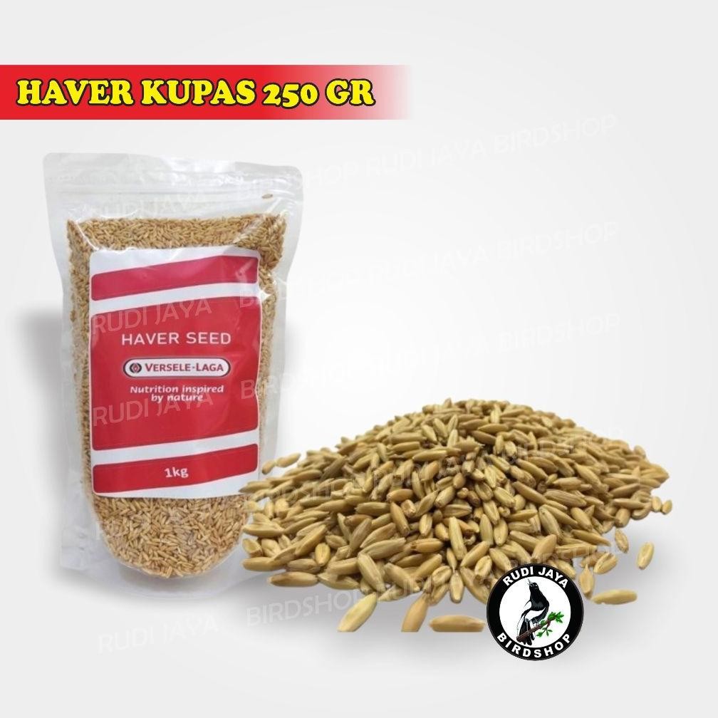 New Arival Haver Kulit Dan Kupas 250 Gram Biji Haver Seed Oats Oat Pakan Makanan Burung Lovebird Ken