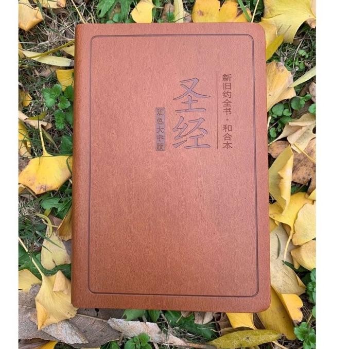 Hits Alkitab Mandarin Tulisan Besar/Chinese Bible / Brown Cover