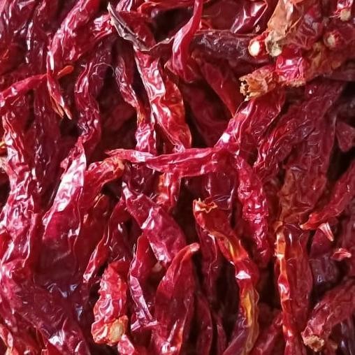 

Terbaru Cabe Kering Keriting 1 KG Kilo Fresh Untuk Rendang Dll