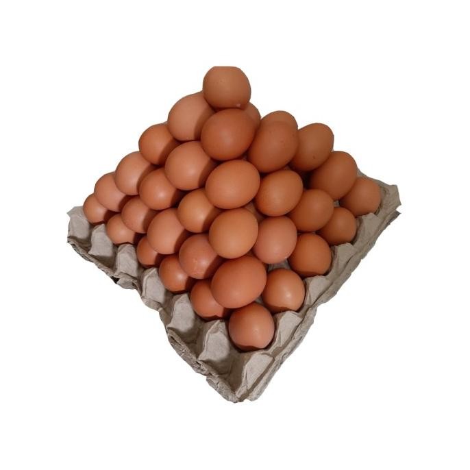

Terlaris Telur Telor Ayam Negri (Minimal 1Kg) Pengiriman Dengan Tray Aman