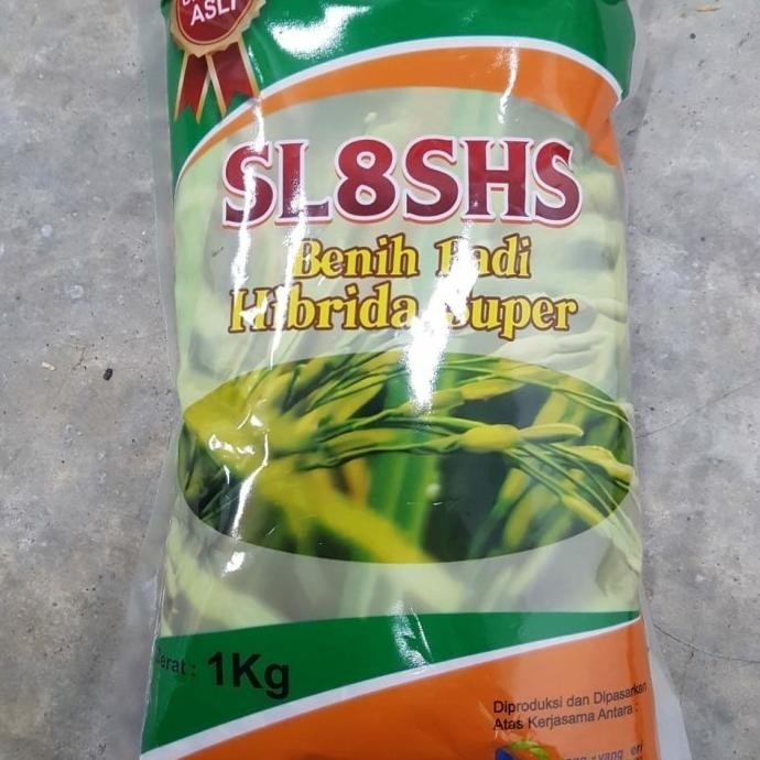 

Terlaris Jual Benih Padi Hibrida Sl8Shs Murah