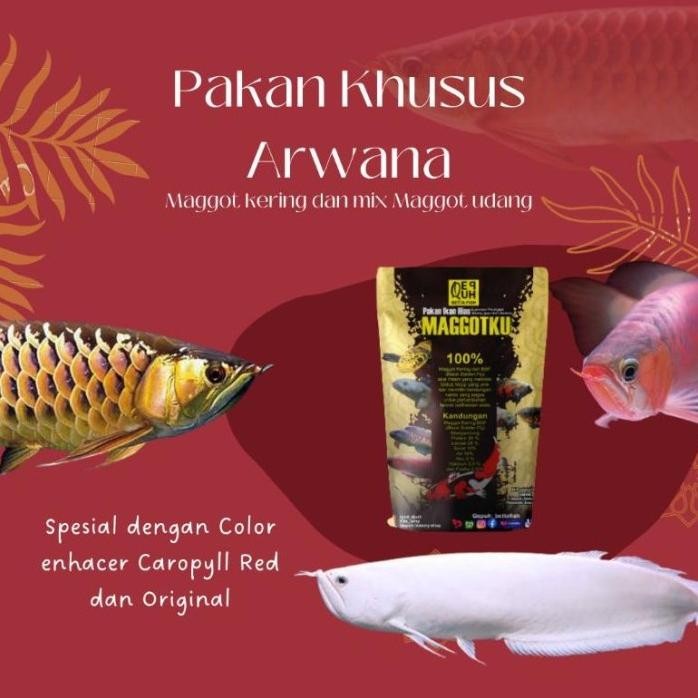 Terlaris Sale Pelet Pakan Arwana Super Red Silver Red Jardini Golden Maggot Kering Pakan Arwana Pred