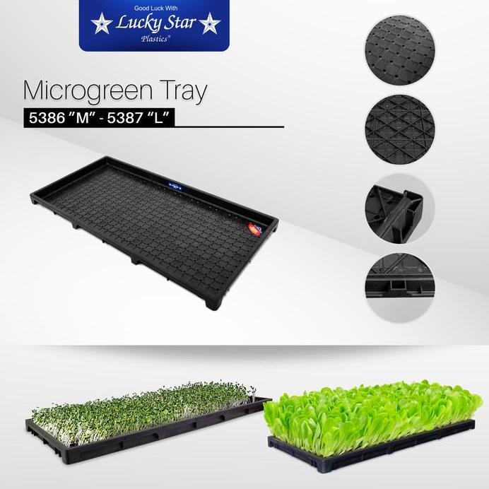 

Terlaris Grosir Tray Semai Padi Tray Semai Microgreen Wheat Grass Size L 5387H