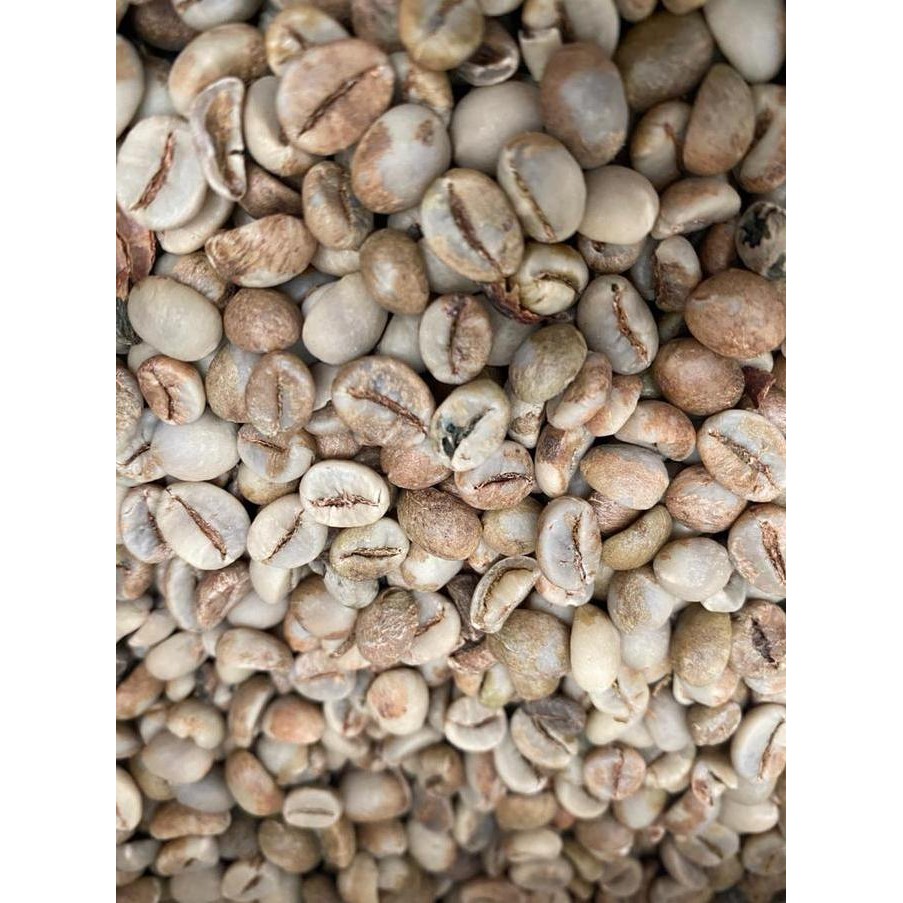 

ready stock Green Bean /Kopi mentah Robusta Dampit 1KG