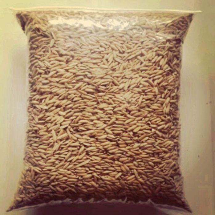 

Terlaris Padi Kemasan Pakan Ayam/Gabah Beras Merah 1Kg