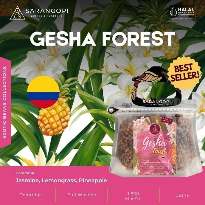 

ready stock Arabica Gesha Forest Coffee Filter Manual Brew V60 - Sarangopi Coffee Beans