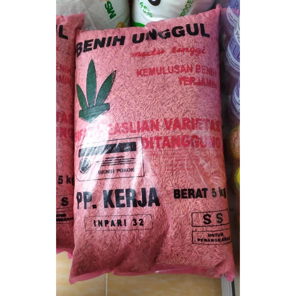 

Terlaris Benih Bersertifikat Padi Unggul Mutu Tinggi Varietas Inpari32 Ecer 1Kg