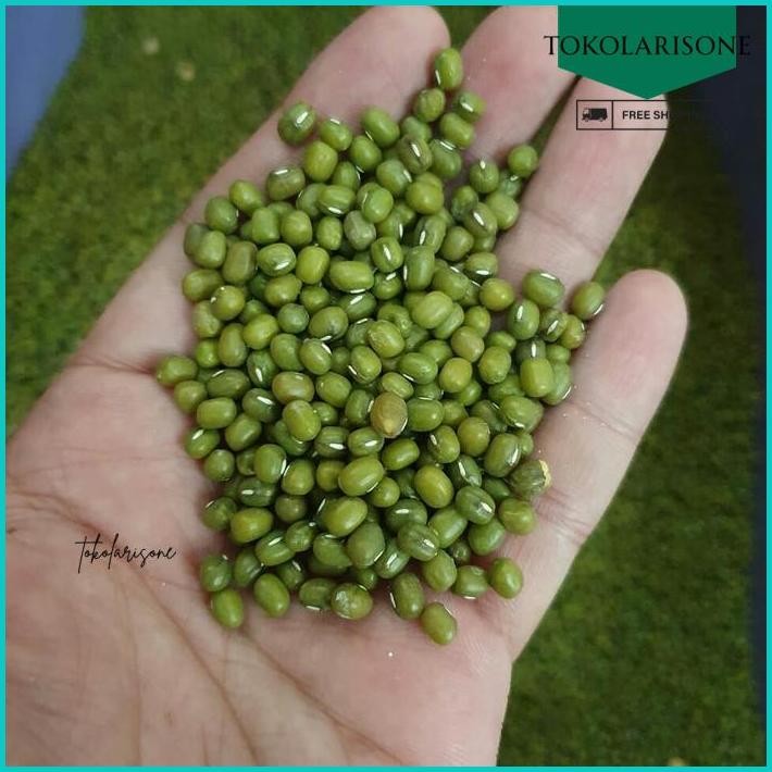 

KACANG HIJAU AUSTRALIA KERING SUPER 500GR / GREEN BEANS FRESH IMPORT