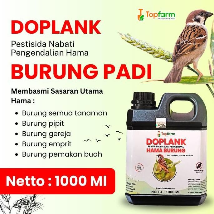 

Terlaris Doplank - Pestisida Nabati Pengendali Burung Padi Sawah / Obat Burung Padi Sawah / Obat Hama Burung Pipit 1 Liter