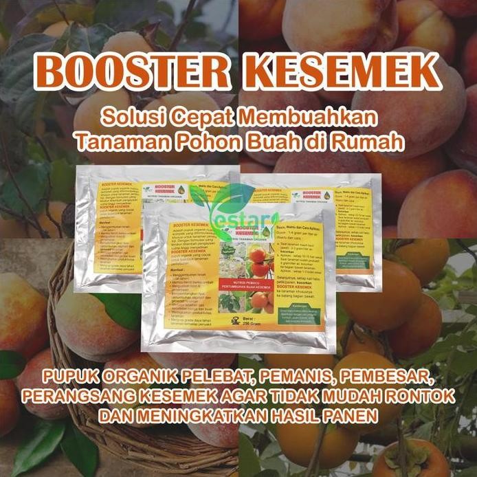 

Terlaris Pupuk Organik Booster Kesemek Agar Cepat Berbuah