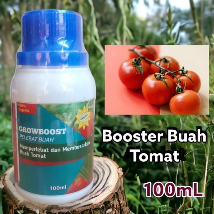 

Terlaris Pupuk Buah Tomat Premium Organik Growboost Kemasan 100Ml