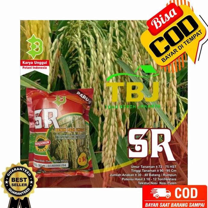 

Terlaris Benih Bibit Padi Sr Unggul Super