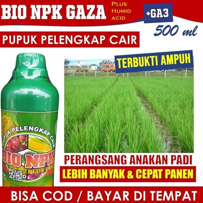 

Terlaris 500 Ml Obat Untuk Anakan Padi Agar Lebat Dan Banyak, Npk Cair Bio Npk Gaza Isi 500 Ml Pupuk Menyuburkan Daun Dan Buah Anakan Padi, Obat Penyubur Akar Padi Biar Kuat Di Musim Hujan, Pupuk Organik Peyubur Tanaman Buah Padi Terbaik