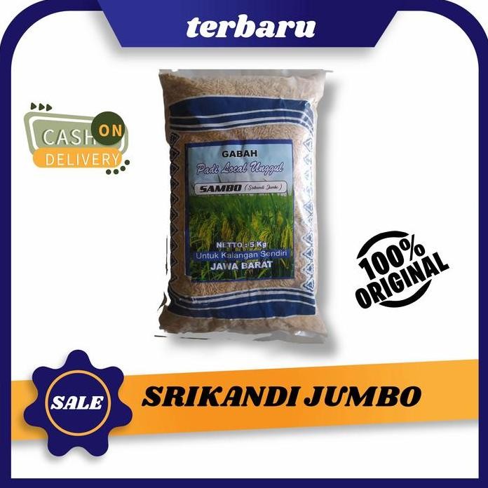 

Terlaris Benih Padi Unggul Terbaru Srikandi Jumbo/Sambo 5 Kg