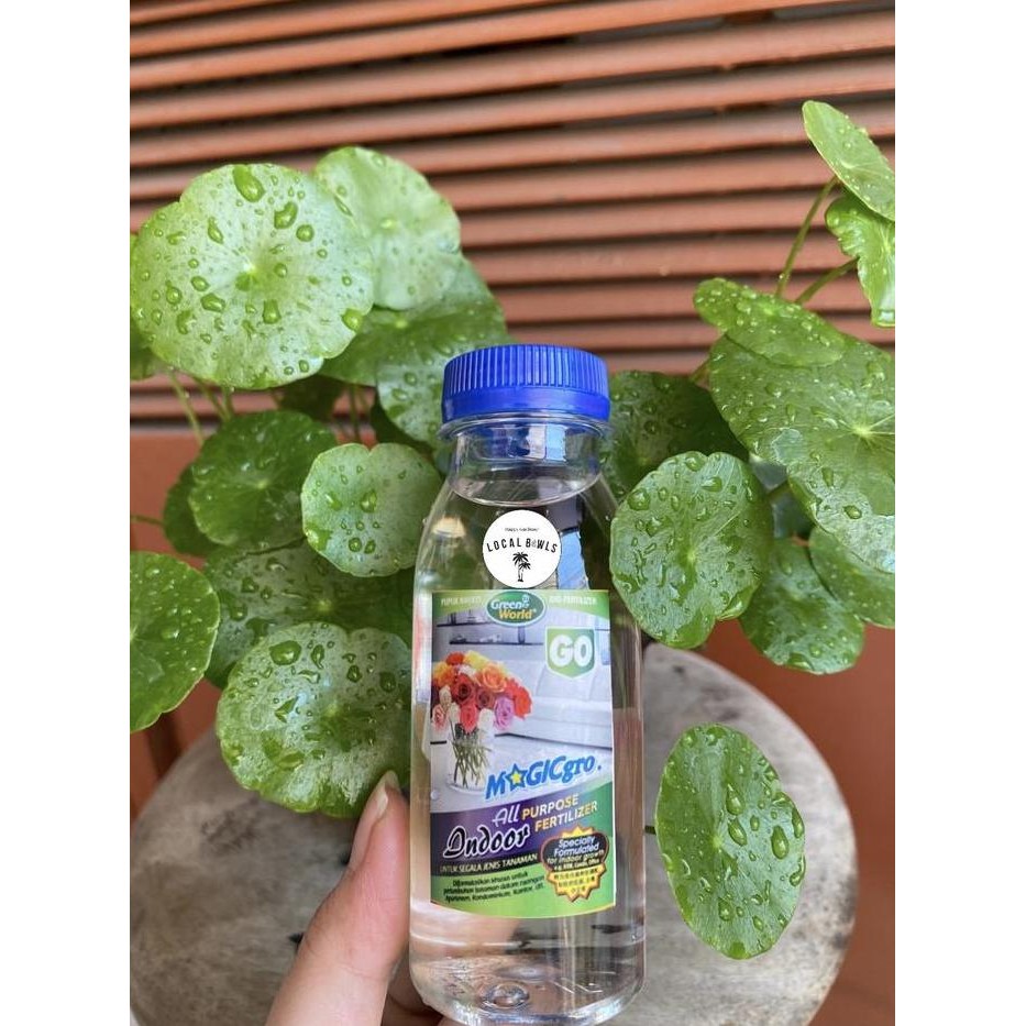 

Terlaris Pupuk Organik Tanaman Indoor / Teduh G0 Magicgro (Repack 100Ml)