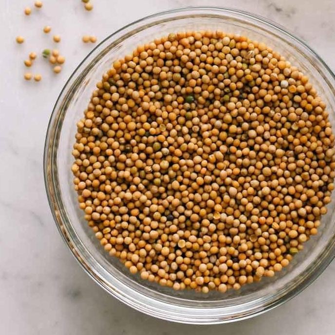 

Silahkan Order] Yellow Mustard Seeds 100gram / mustard seeds / biji sawi kuning