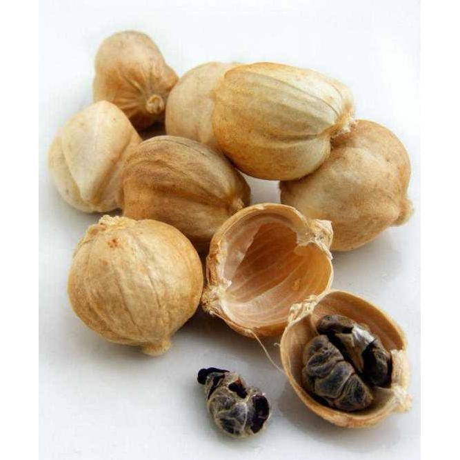 

yang dicari@@@@] Kapulaga lokal 100gram / Cardamom White / Cardamon White