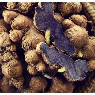 

Terlaris Bibit Jahe Wulung Hitam Kualitas Unggulan Bqzjyy 2669Lj