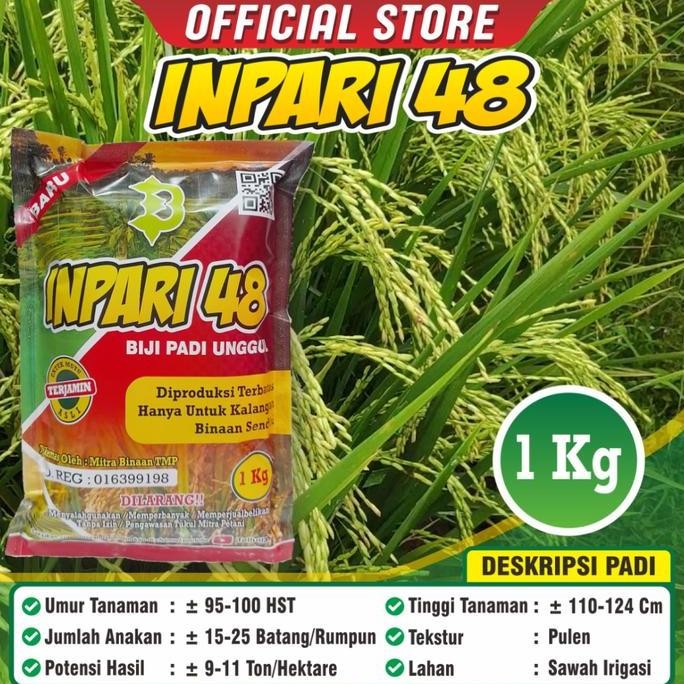

Terlaris Benih Padi Inpari 48