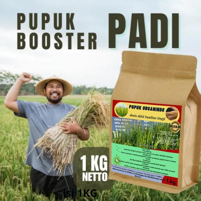

Terlaris Pupuk Organik Booster Untuk Padi Sawah Pupuk Booster Tanaman Padi Obat Penambah Memperbanyak Anakan Padi