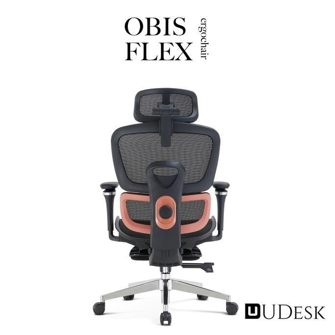 Ergonomic Chair Obis Flex - Adjustable Lumbar Support Mesh Chair with Footrest .,