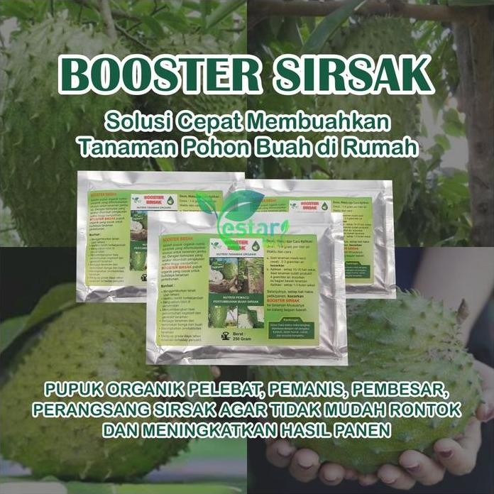 

Terlaris Pupuk Organik Booster Sirsak Agar Cepat Berbuah