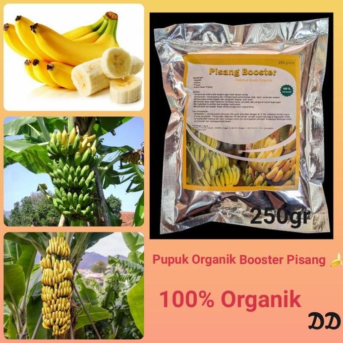 

Terlaris Pupuk Organik Penyubur Pisang,Pupuk Organik Pelebat Pisang Agar Cepat