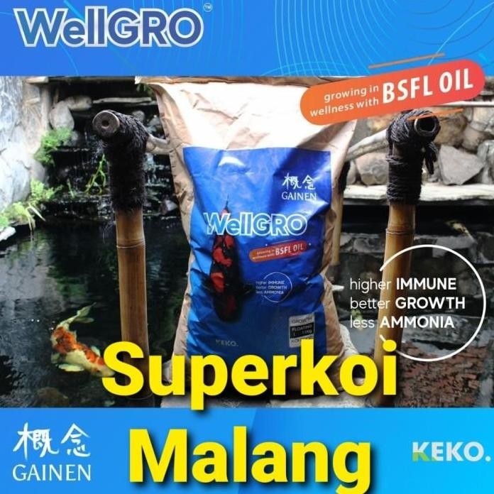 Terlaris Wellgro Koi Gainen 15Kg 15 Kg Pakan Ikan Pelet Well Gro Growth Grow