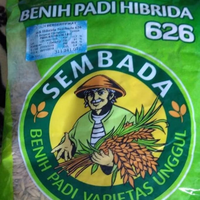 

Terlaris Padi Hibrida Sembada 626 Genjah Dan Randemen Tinggi