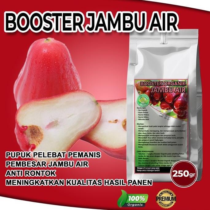 

Terlaris Pupuk Organik Pelebat Jambu Booster Jambu Cepat Berbuah Lebat Tidak Rontok