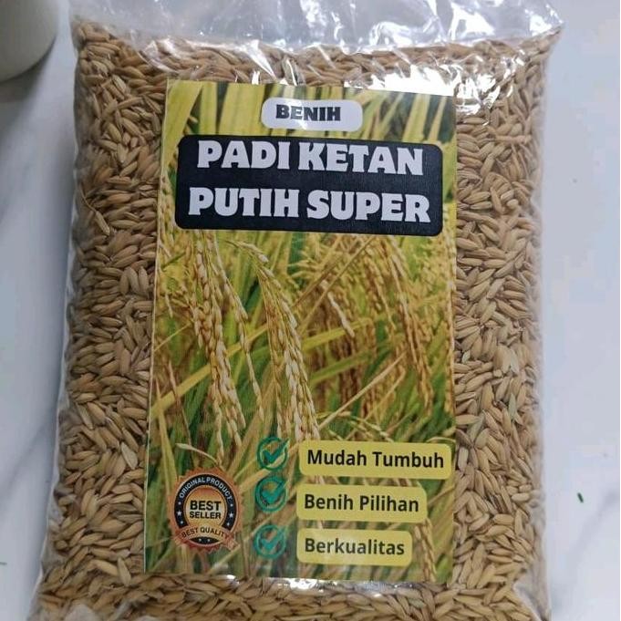 

Terlaris Benih Padi Ketan Putih Grendel Super 2 Kg - Makanan Berkualitas Tinggi - Food, Rice, Diet Bibit
