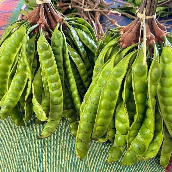 

Terlaris Wonogiri Pete Padi Isi Pendek 12 Papan