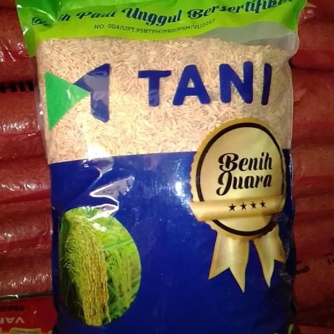 

Terlaris Benih Padi M70D M70 Asli M Tani