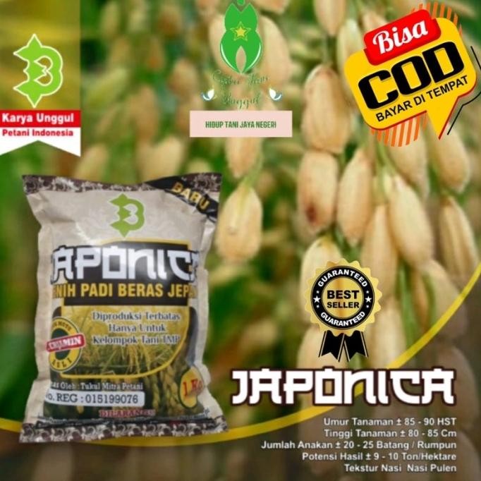 

Terlaris Benih Padi Japonica / Bibit Padi Jepang Super