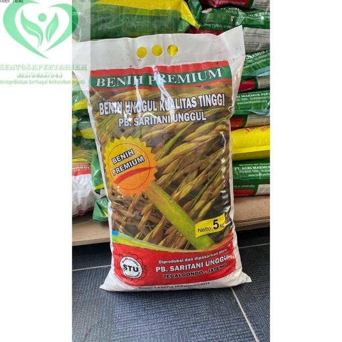 

Terlaris Benih Padi Unggul Varietas Logawa Premium Isi 5Kg Dari Saritani Unggul