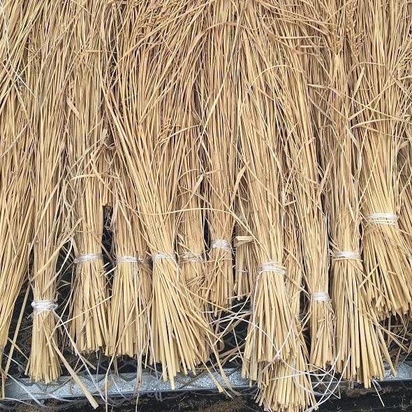 

Terlaris Jerami Padi Kering Per 10Kg - Kerajinan - Media Ternak - Jerami Padi