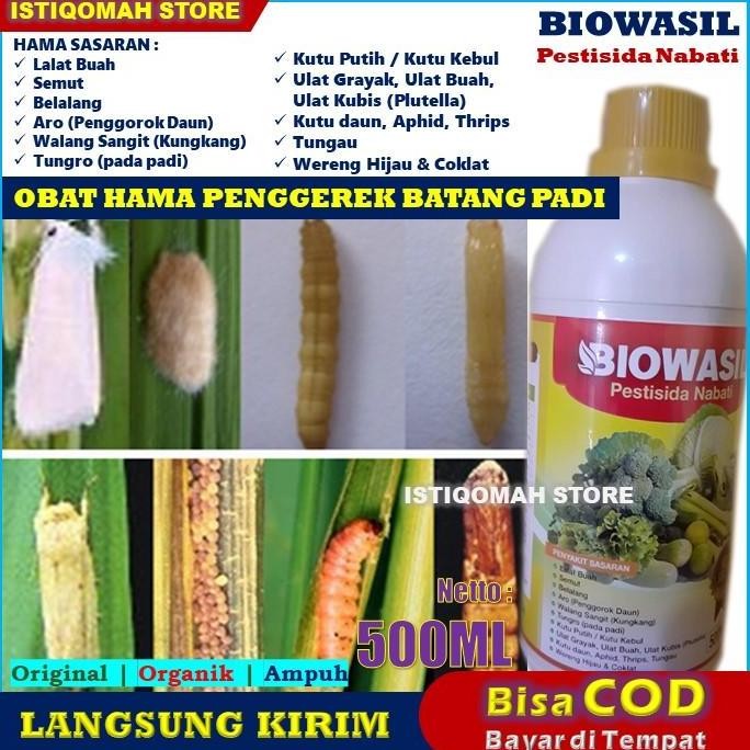 

Terlaris Biowasil 500Ml Pestisida Nabati Obat Hama Penggerek Batang Padi Ampuh