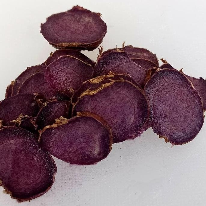 

Terlaris Bibit Tunas Kunyit Hitam Curcuma Caesia Asli Bergaransi