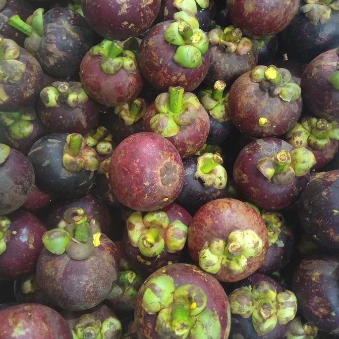 

buah manggis segar 1 kg