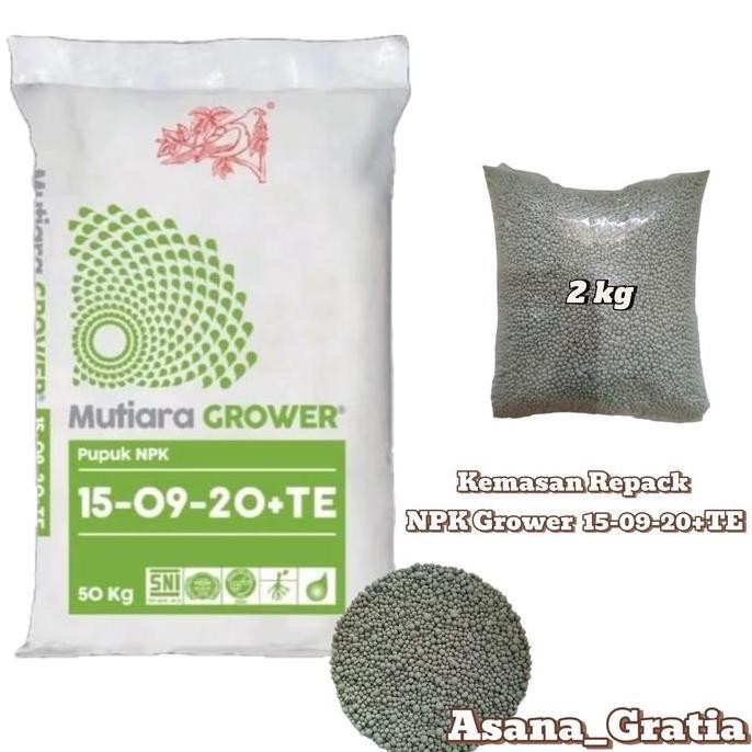 

Terlaris Pupuk Npk Mutiara Grower Meroke Kemasan Repack 500Gr, 1Kg, 2Kg - Teknologi Tinggi - Hijau, Kalium Grower 1 Asli Tanaman Pupuk Npk