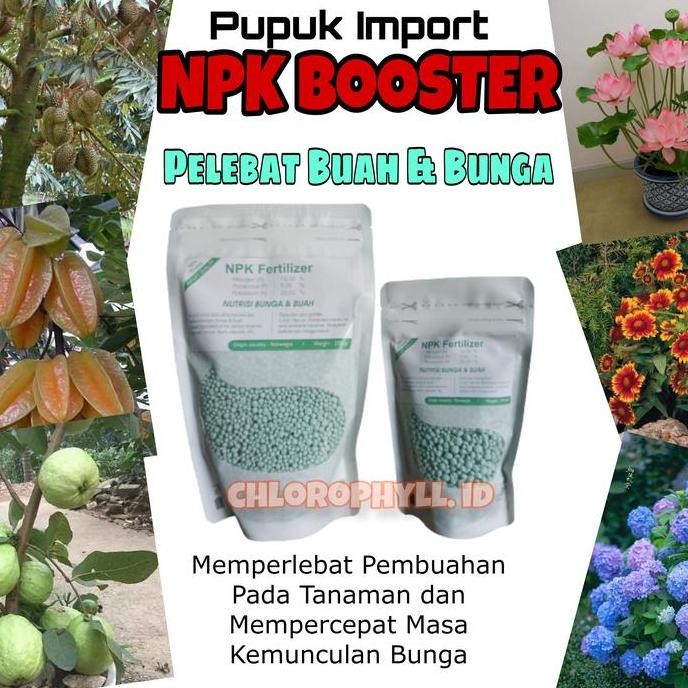 

Terlaris Npk Booster Tanaman | Pupuk Pelebat Bunga Dan Buah