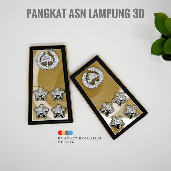 Pangkat Asn Lampung 3D New Stok
