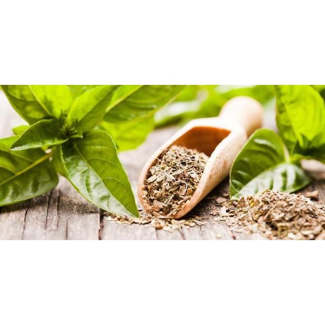 

------] Basil Dry From Turkey 1kg / Daun Basil / Basil Leaves