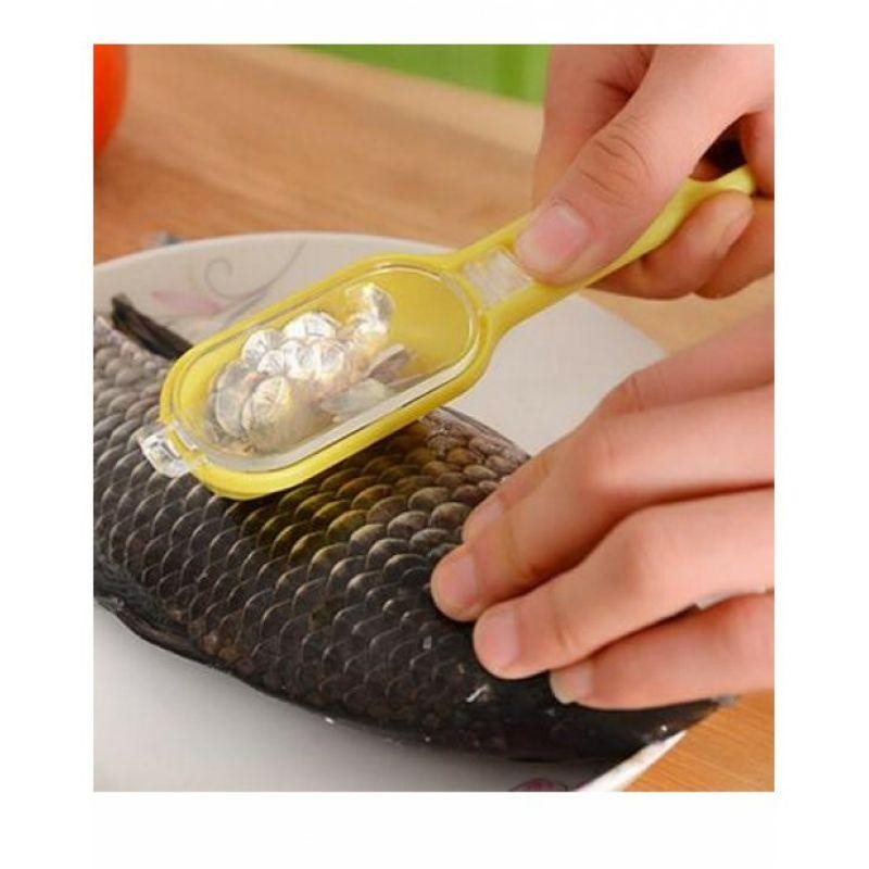 Alat Pembersih Sisik Ikan Alat Alat Pengupas Sisik Ikan Pembersih Sisik Ikan