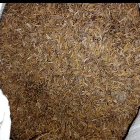 

Terlaris Pupuk Kandang Kohe Ayam