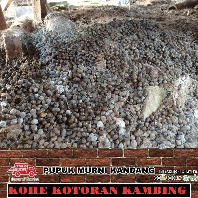 

Terlaris Pupuk Kandang Kohe Kotoran Hewan Tai Kambing Terbaik Pupuk Tan Tanaman