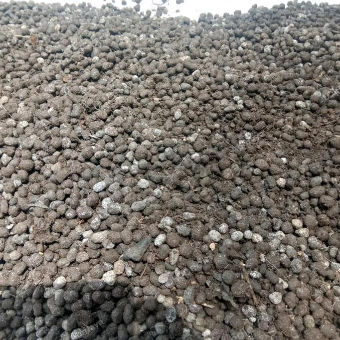 

Terlaris Promo !! Hari Ini 5 Bungkus Pupuk Kandang Kambing