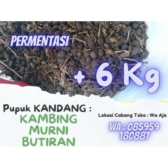 

Terlaris Pupuk Kandang Kohe Kambing Murni Butiran Kering Permentasi