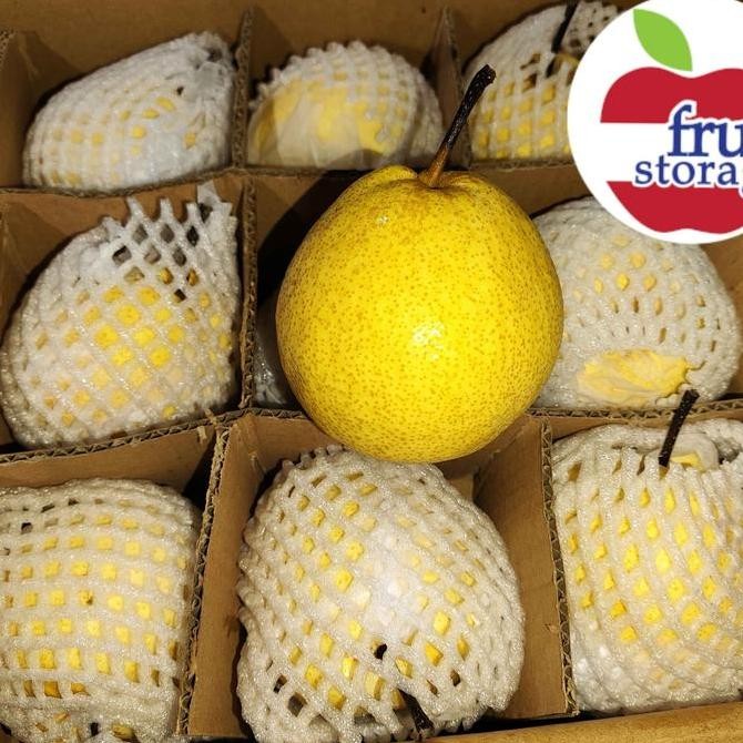 

BARU BUAH SWEET PEAR 1 KG PIR MADU 1 KILOGRAM FRESH IMPORT MANIS